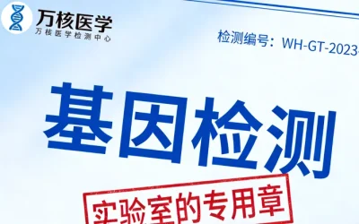 一张形象化的图表：展示高TMB肿瘤细胞表面布满“新抗原”（靶点），低TMB则靶点稀少。