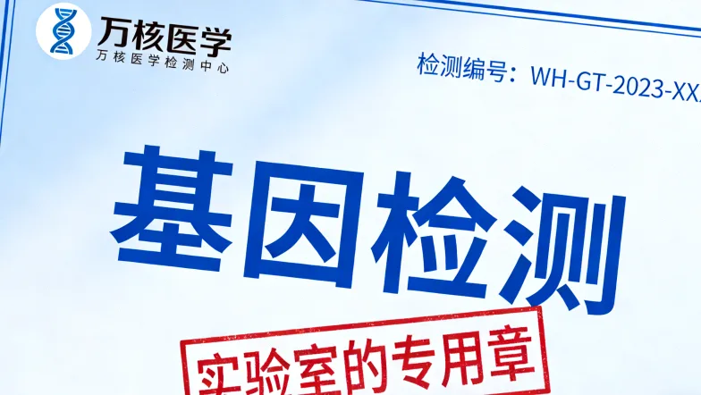 一张形象化的图表：展示高TMB肿瘤细胞表面布满“新抗原”（靶点），低TMB则靶点稀少。
