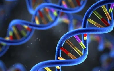 血压计测量与基因链结合示意图