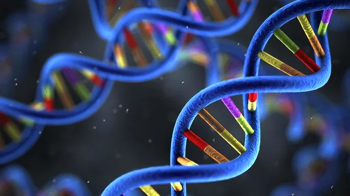 血压计测量与基因链结合示意图