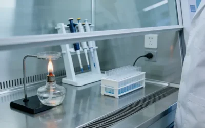 一份色彩丰富的蔬菜沙拉与烤三文鱼拼盘