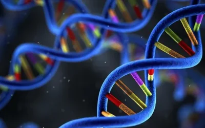 血脂报告单与基因链结合示意图